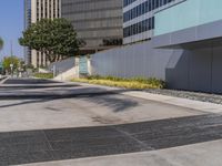 a black fire hydrant sitting in the middle of a concrete road near buildings and palm trees