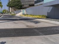 a black fire hydrant sitting in the middle of a concrete road near buildings and palm trees