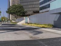 a black fire hydrant sitting in the middle of a concrete road near buildings and palm trees