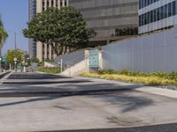 a black fire hydrant sitting in the middle of a concrete road near buildings and palm trees