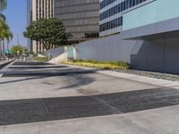 a black fire hydrant sitting in the middle of a concrete road near buildings and palm trees