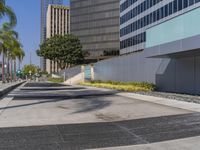 a black fire hydrant sitting in the middle of a concrete road near buildings and palm trees