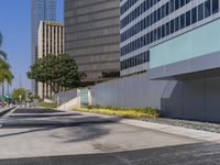 a black fire hydrant sitting in the middle of a concrete road near buildings and palm trees