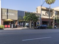 Urban Landscape in Los Angeles: Storefronts and Asphalt Roads