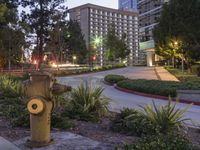 a street and some plants near some buildings at night time, at dusk, with a fire hydrant at the center