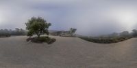 a very blurry photo of trees on a hill top near a skateboard ramp