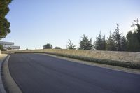 Urban Landscape of Los Angeles: A Tree-Lined Road