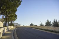 Urban Landscape of Los Angeles: A Tree-Lined Road