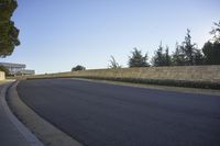 Urban Landscape of Los Angeles: A Tree-Lined Road