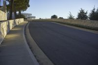 Urban Landscape of Los Angeles: A Tree-Lined Road