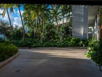 the entrance to an apartment with palms trees and bushes in the foreground, next to a concrete driveway