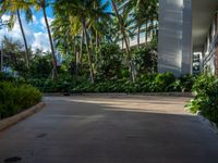 the entrance to an apartment with palms trees and bushes in the foreground, next to a concrete driveway