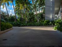 the entrance to an apartment with palms trees and bushes in the foreground, next to a concrete driveway