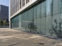 the shadow of a man walks across the sidewalk as he crosses an empty street in front of glass and concrete buildings