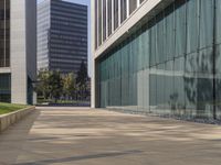 the shadow of a man walks across the sidewalk as he crosses an empty street in front of glass and concrete buildings