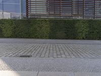 an image of an empty bench on the sidewalk near bushes and streetlights on a sunny day