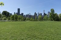 Urban Landscape in New York City