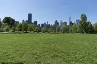 Urban Landscape in New York City