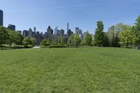 Urban Landscape in New York City