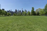 Urban Landscape in New York City