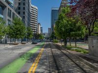 the green paint is painted on a bike path in front of an office building and large, trees