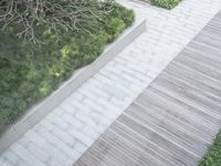 a person is walking down some stairs and a tree and shrubbery area with some stone planters