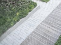 a person is walking down some stairs and a tree and shrubbery area with some stone planters