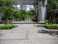 a sidewalk with trees, bushes and buildings in the background on a sunny day in the city