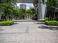 a sidewalk with trees, bushes and buildings in the background on a sunny day in the city