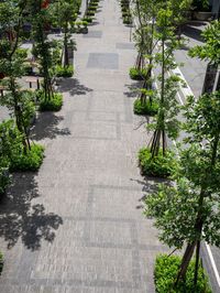 a sidewalk with lots of trees along side of it as well as buildings and plants