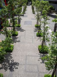 a sidewalk with lots of trees along side of it as well as buildings and plants