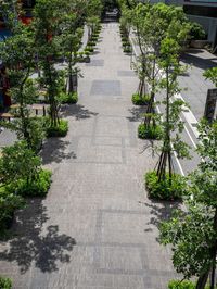 a sidewalk with lots of trees along side of it as well as buildings and plants