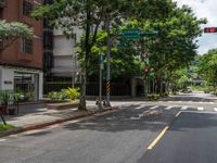 an empty road with some tall buildings on it and trees in the middle of the street