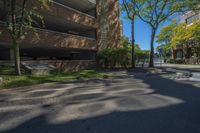 a street with a tree and several tall buildings in the distance are trees and lawn