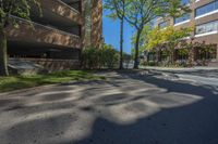 a street with a tree and several tall buildings in the distance are trees and lawn