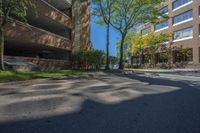 a street with a tree and several tall buildings in the distance are trees and lawn