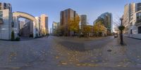 a wide view of a deserted street with yellow leaves in the streets and a lot of tall buildings