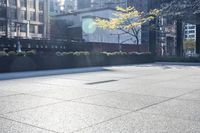 there are plants that are growing on the concrete near the city building walls, and one planter has yellow flowers, and it appears to be bright in the distance