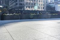 there are plants that are growing on the concrete near the city building walls, and one planter has yellow flowers, and it appears to be bright in the distance