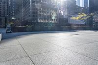 there are plants that are growing on the concrete near the city building walls, and one planter has yellow flowers, and it appears to be bright in the distance