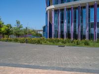 a building with pink glass and purple striped exterior is shown with the brick path on the left