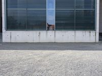 Urban Landscapes: Exploring the Cityscape of Berlin