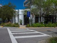 a crosswalk leading to an office building with trees and plants lining both sides of the street