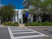 a crosswalk leading to an office building with trees and plants lining both sides of the street