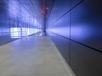 Urban Life in Hamburg: Concrete Streets and Neon Lights