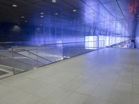 Urban Life in Hamburg: Concrete Streets and Neon Lights