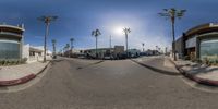 the view of a small intersection from a fish eye lens angle at an intersection in palm trees