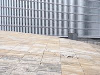 Urban Line Structure in the City of Porto