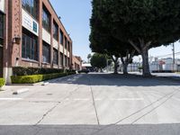 Urban Landscape of Los Angeles: Road and Clear Skies