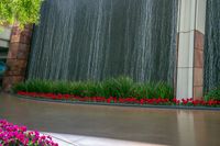 an image of flowers on the ground at the entrance to a water feature at universal world resort